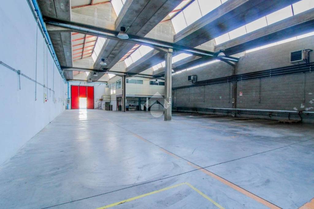 immagine annuncio 2 di 12