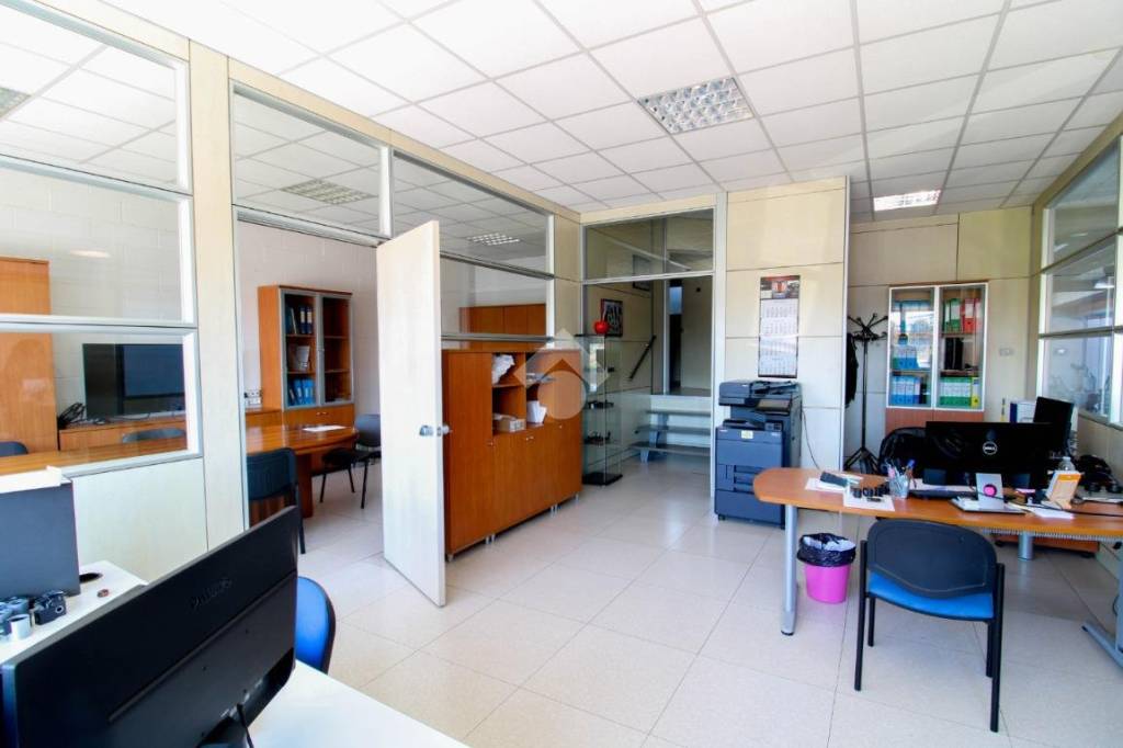 immagine annuncio 3 di 12