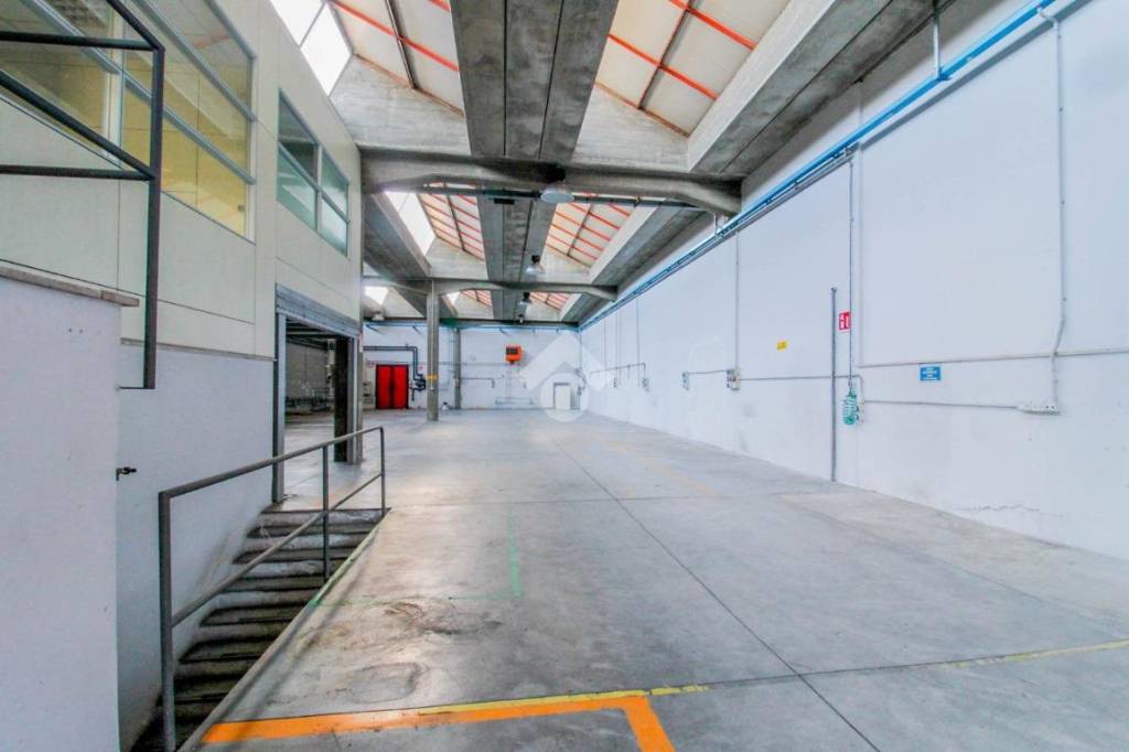 immagine annuncio 4 di 12