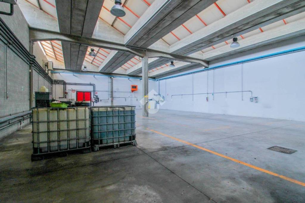 immagine annuncio 5 di 12