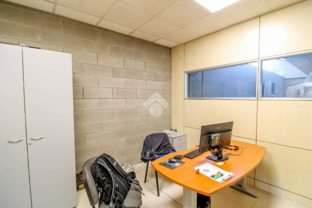 immagine annuncio 6 di 12