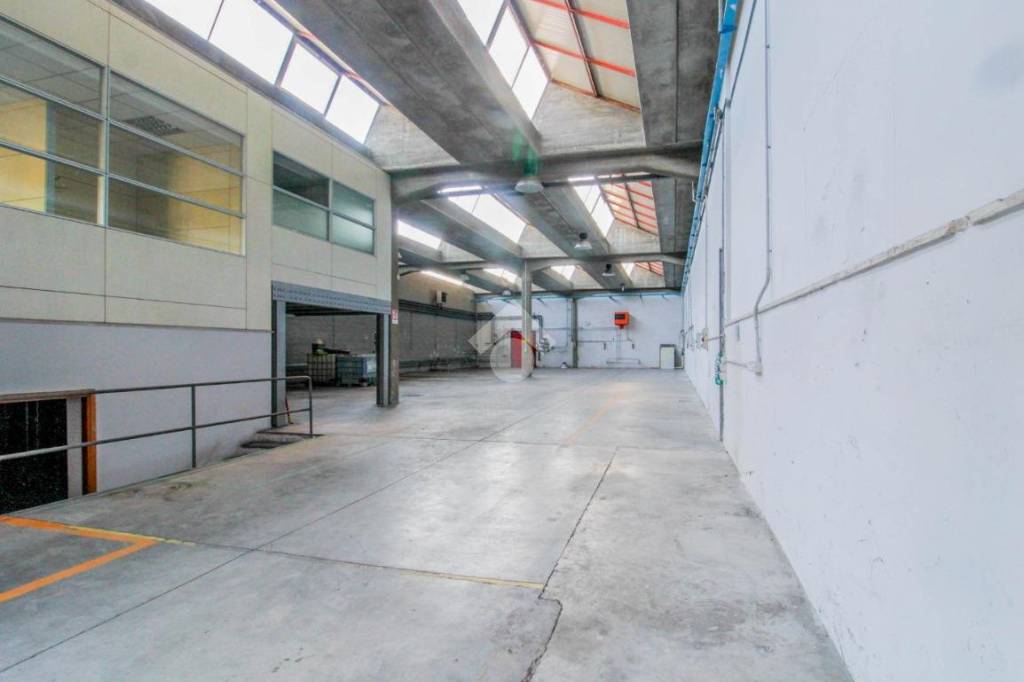 immagine annuncio 7 di 12