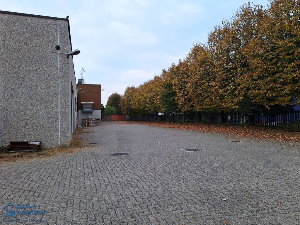 immagine annuncio 2 di 15