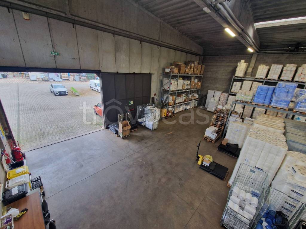 immagine annuncio 7 di 15