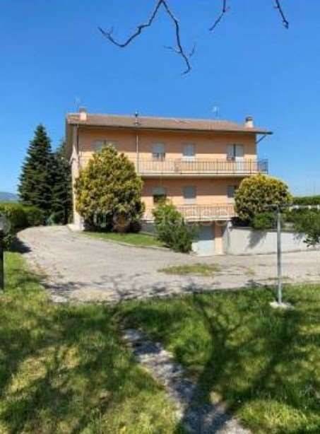 immagine annuncio 4 di 14