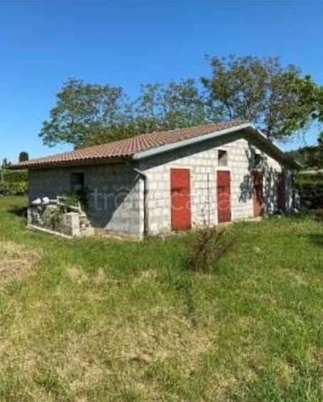 immagine annuncio 7 di 14