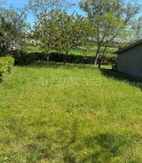 immagine annuncio 9 di 14