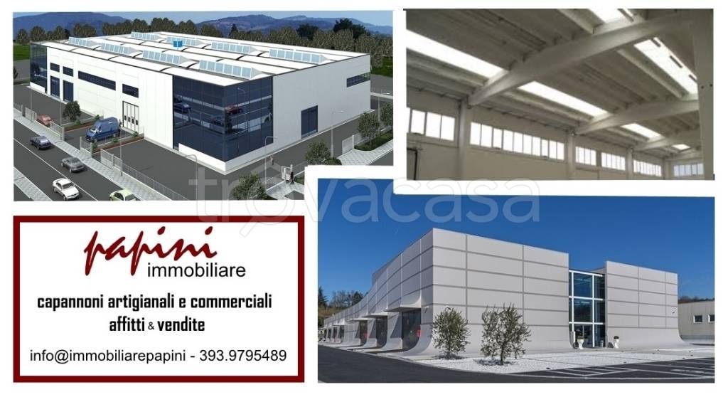 immagine annuncio 1 di 2