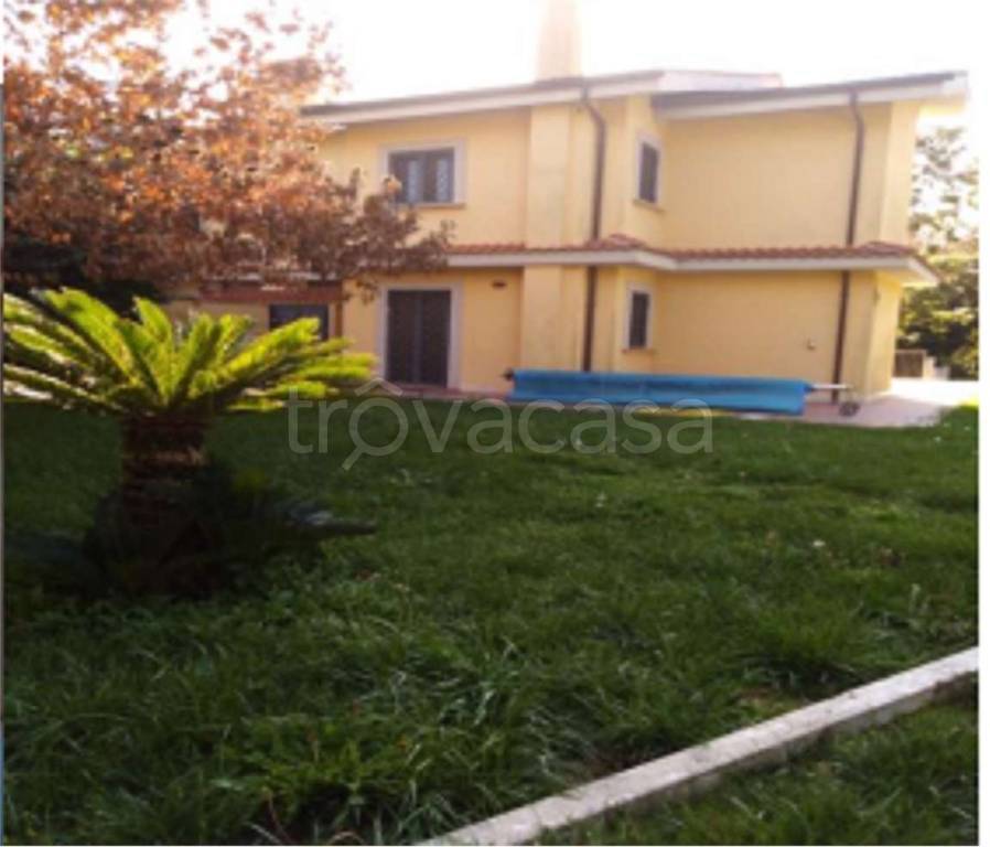 immagine annuncio 5 di 7