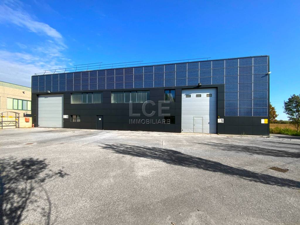 immagine annuncio 6 di 15