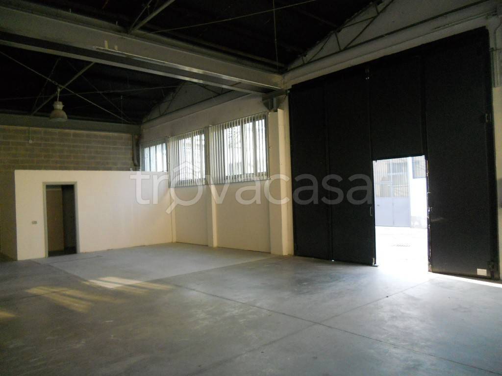 immagine annuncio 3 di 12