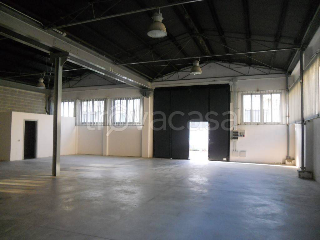 immagine annuncio 4 di 12