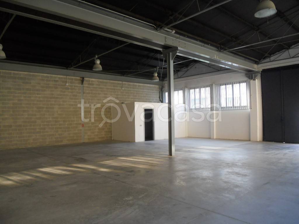 immagine annuncio 5 di 12