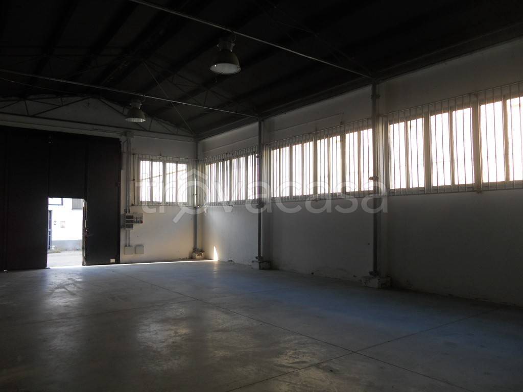 immagine annuncio 6 di 12