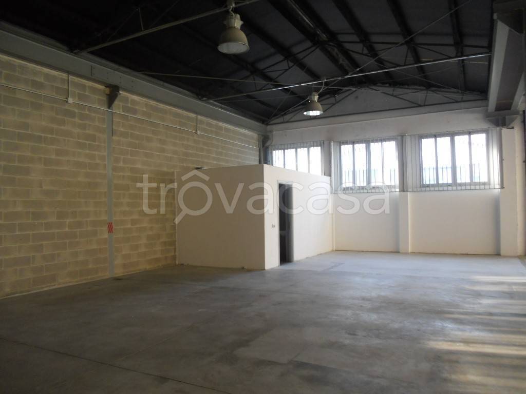 immagine annuncio 7 di 12