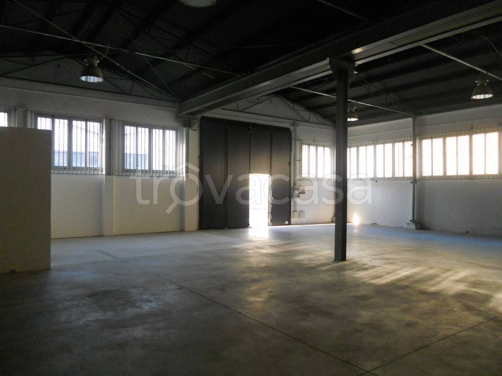 immagine annuncio 8 di 12