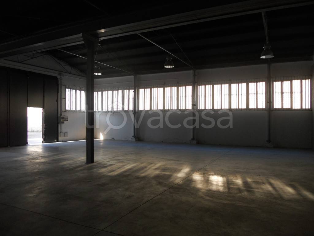 immagine annuncio 9 di 12