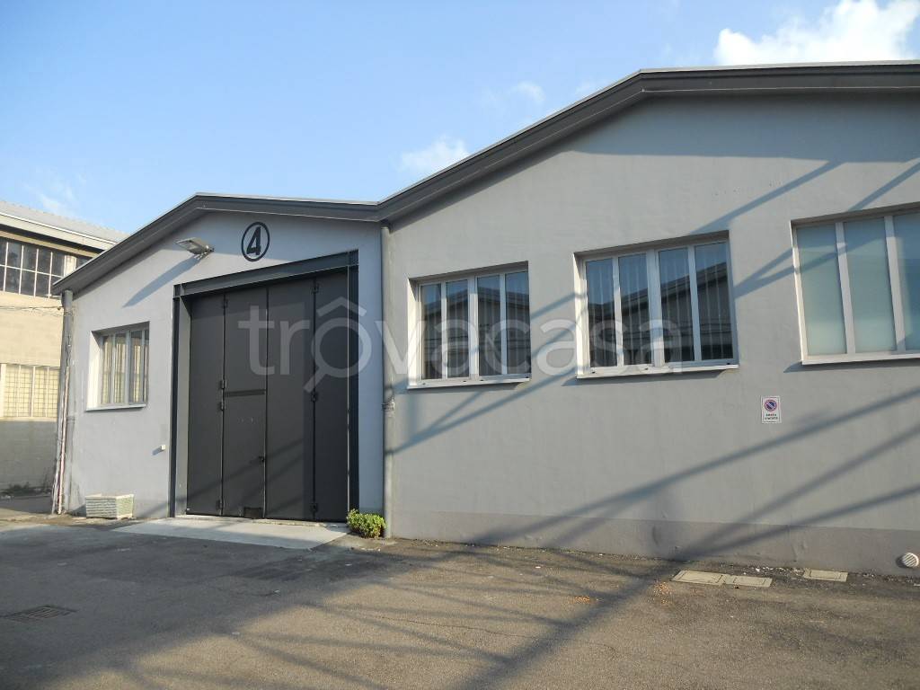 immagine annuncio 10 di 12