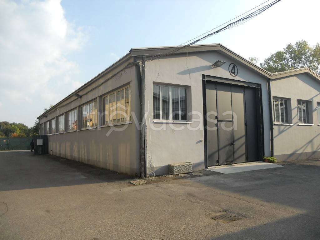 immagine annuncio 1 di 12