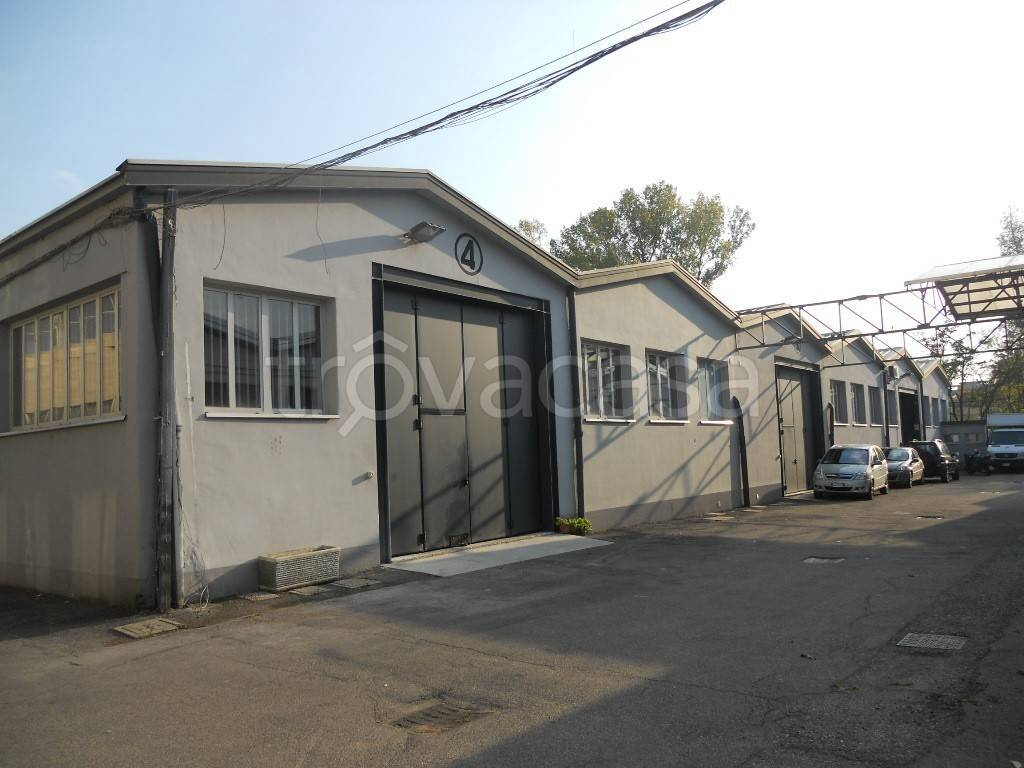 immagine annuncio 11 di 12