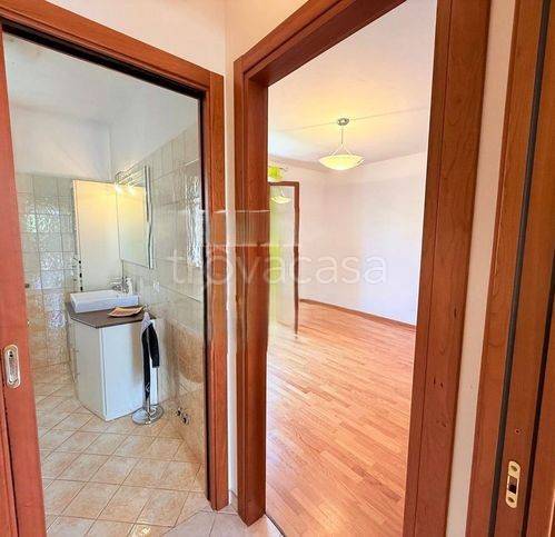 immagine annuncio 7 di 14