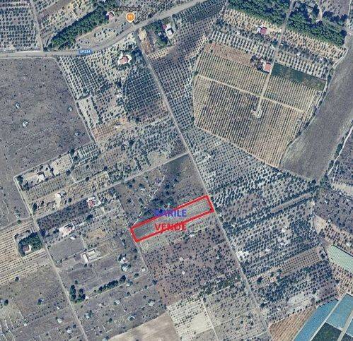 immagine annuncio 1 di 2