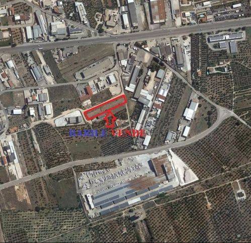 immagine annuncio 1 di 2