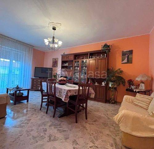 immagine annuncio 2 di 12