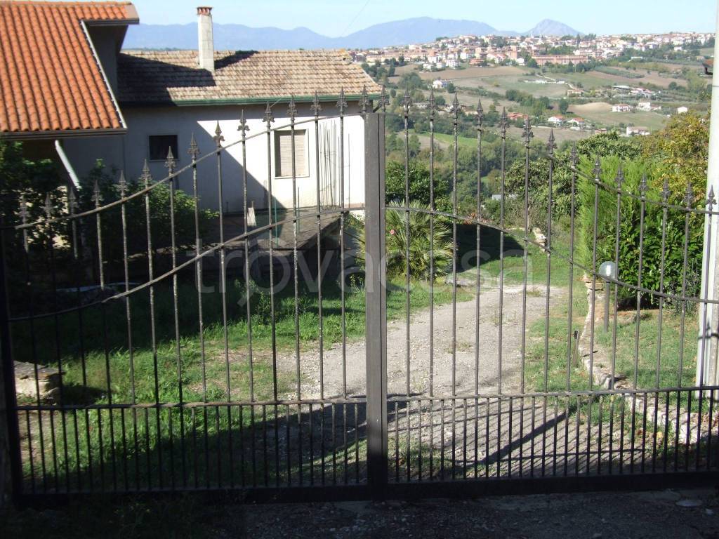 immagine annuncio 6 di 12