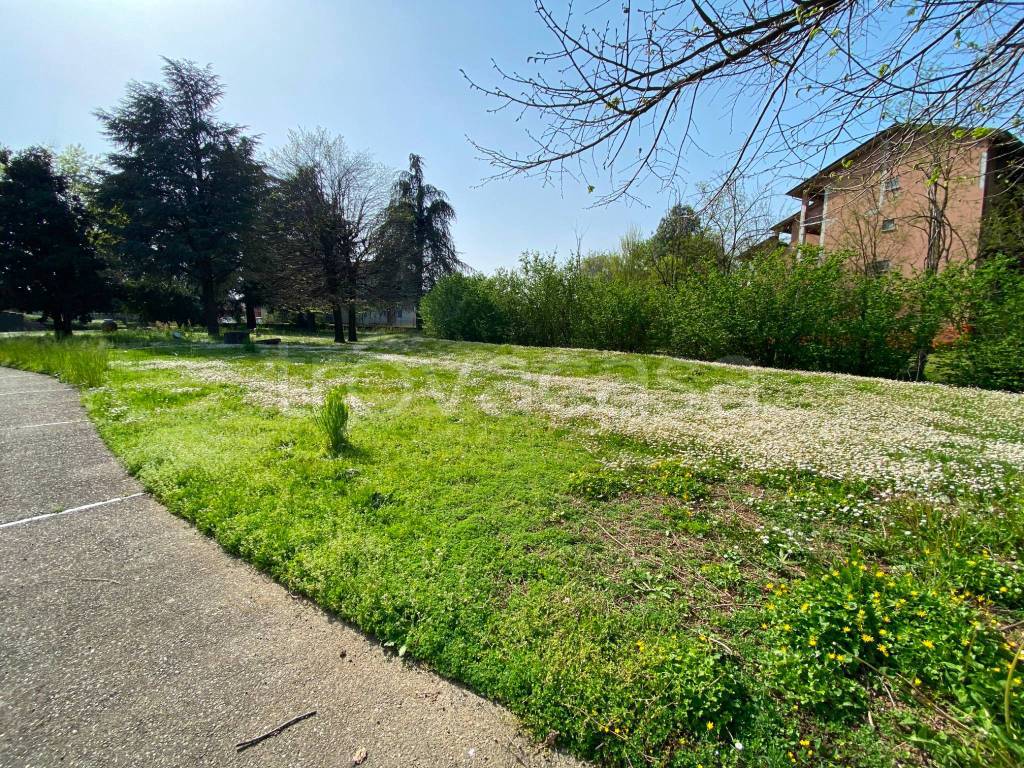 immagine annuncio 6 di 9