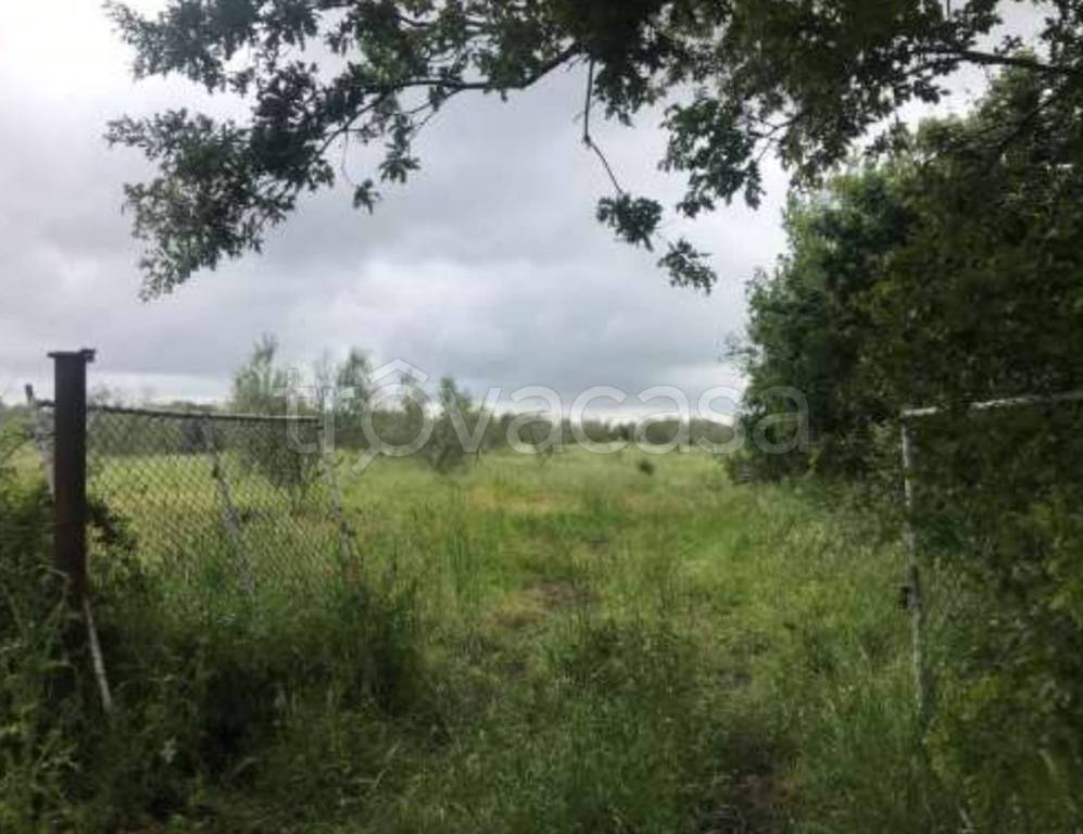 immagine annuncio 6 di 11