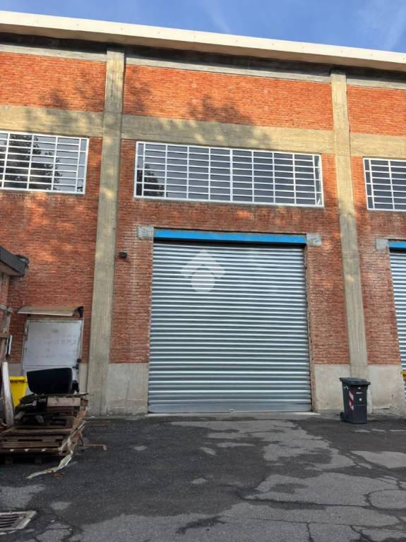 immagine annuncio 1 di 11