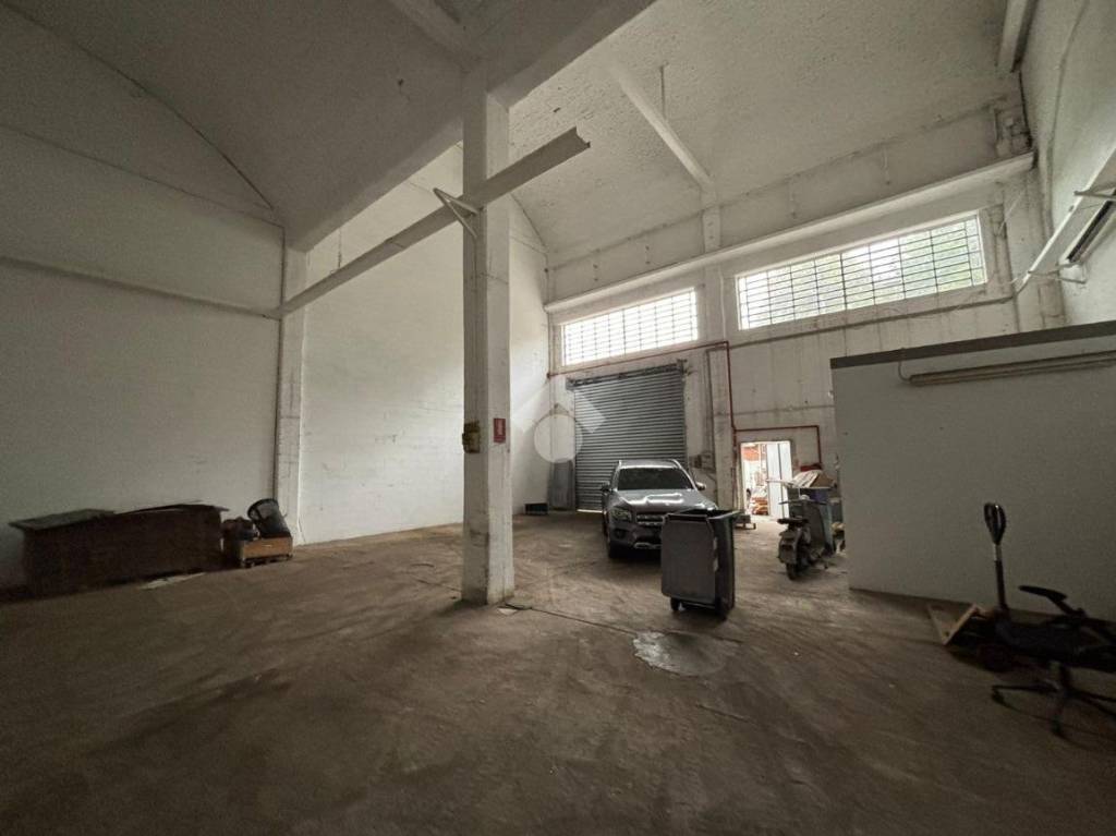 immagine annuncio 4 di 11