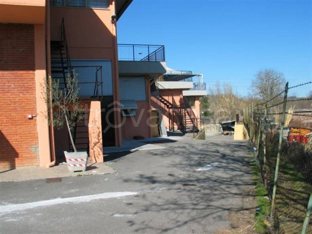 immagine annuncio 2 di 4