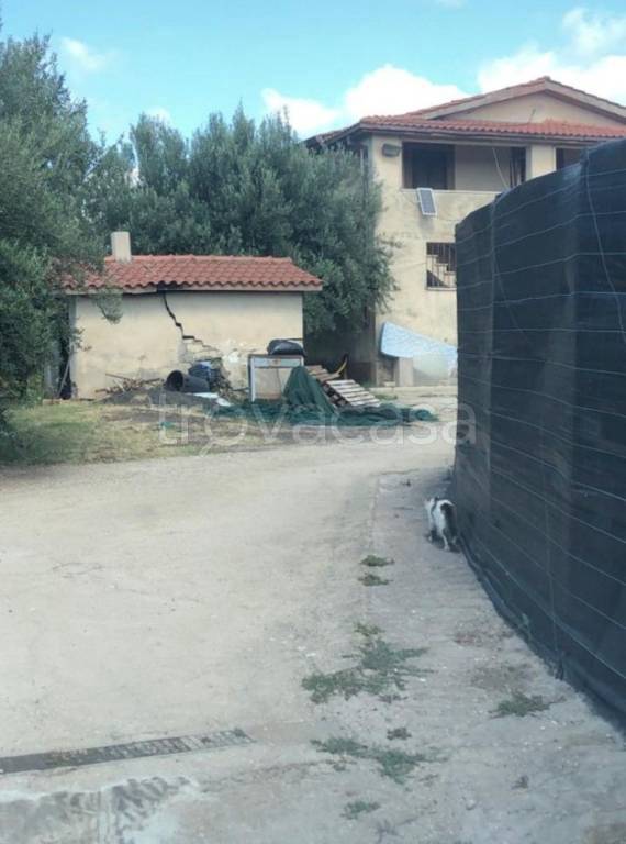 immagine annuncio 3 di 12