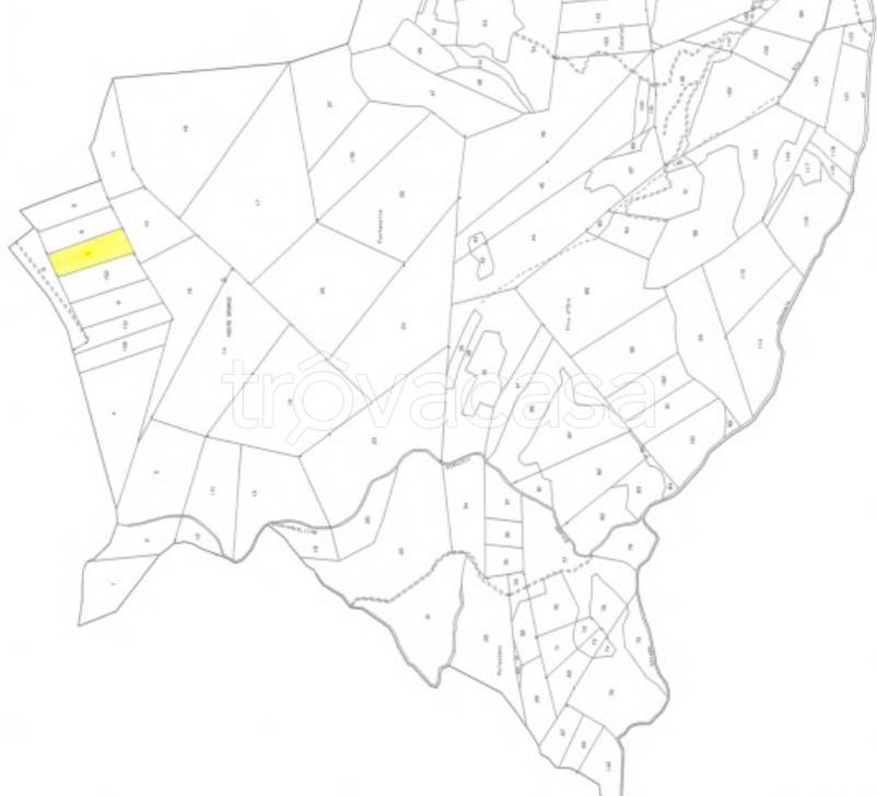 immagine annuncio 9 di 14