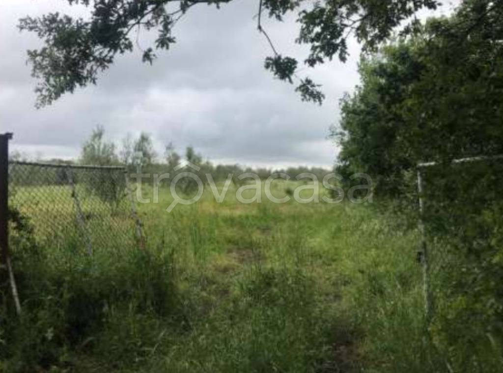 immagine annuncio 5 di 12