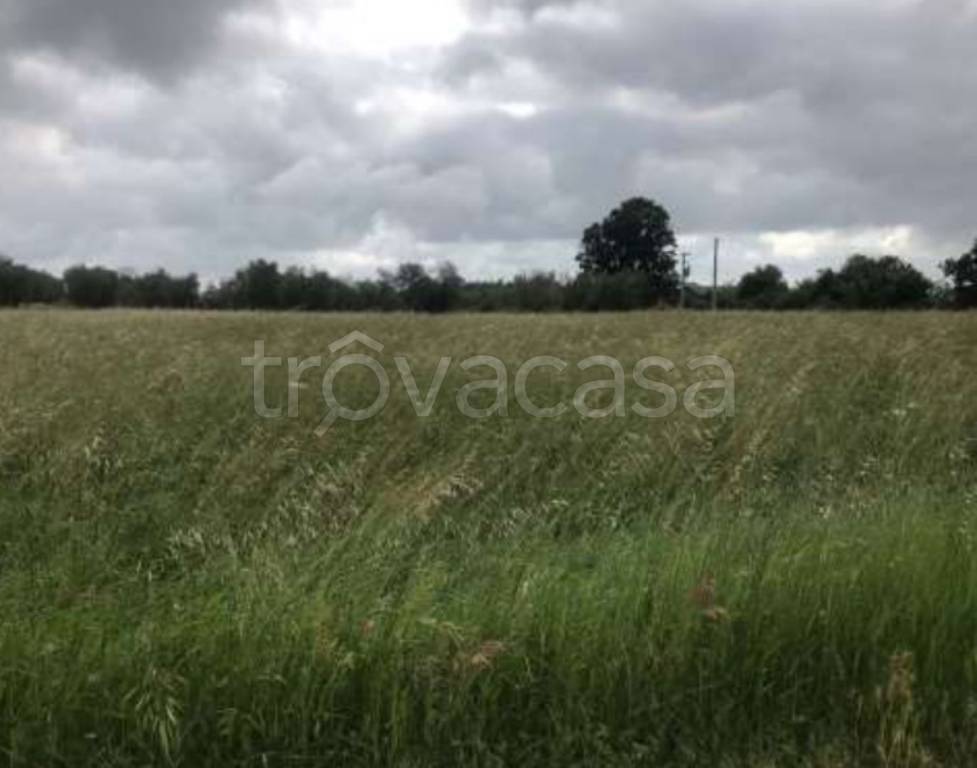 immagine annuncio 10 di 12