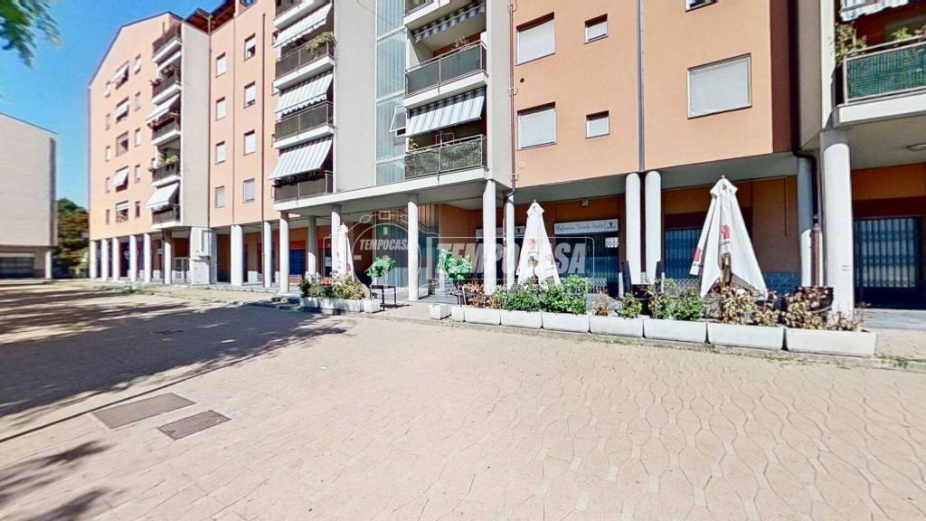 immagine annuncio 6 di 15