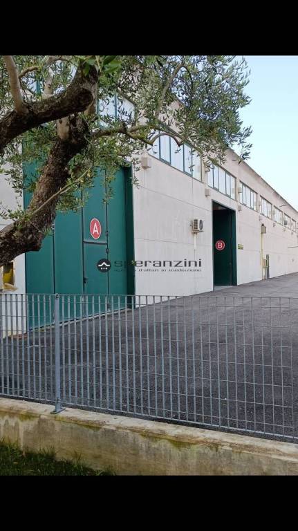 immagine annuncio 4 di 11