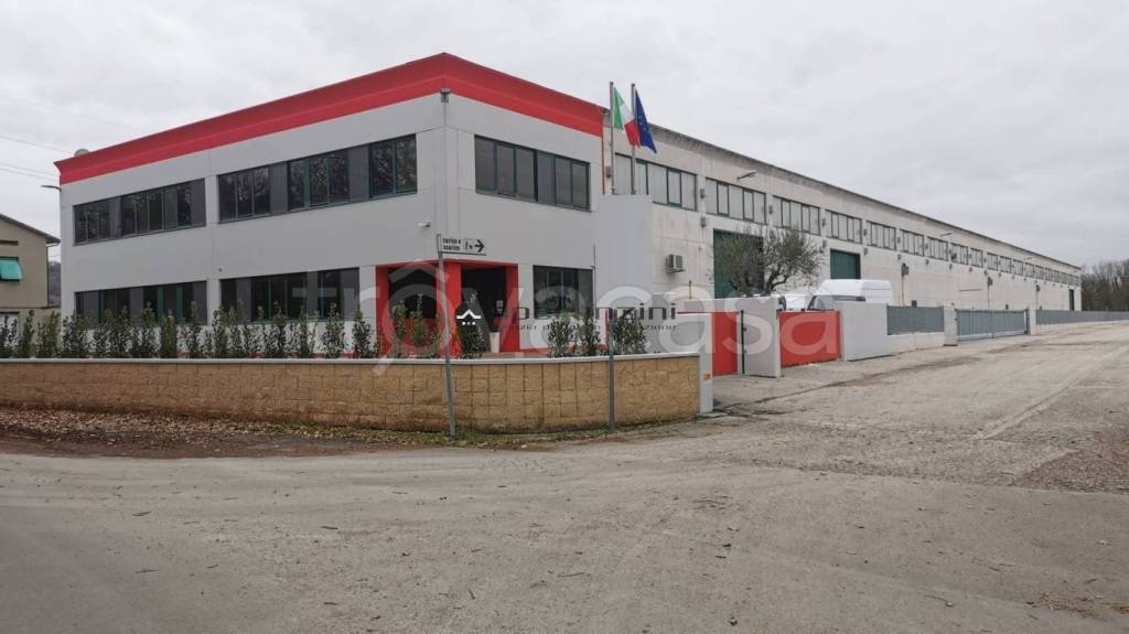 immagine annuncio 9 di 11