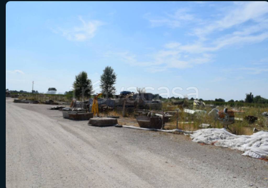 immagine annuncio 5 di 13