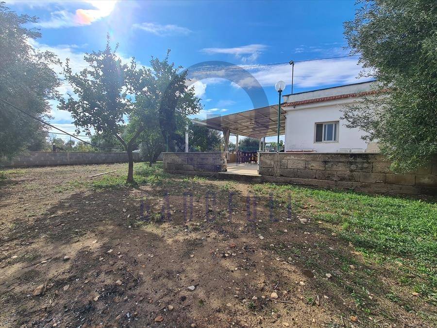 immagine annuncio 10 di 12