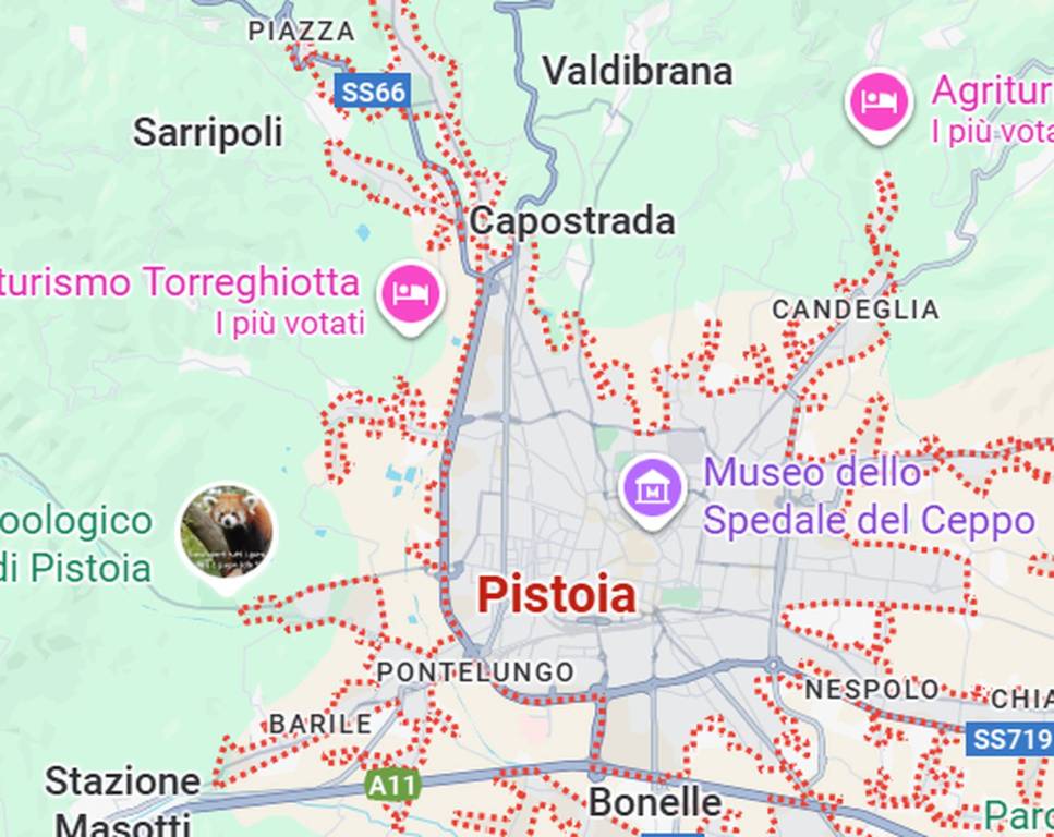 immagine annuncio 11 di 13