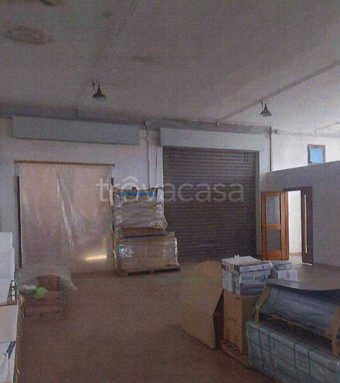 immagine annuncio 5 di 12