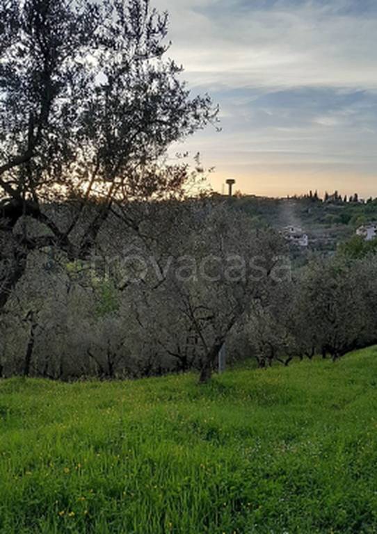 immagine annuncio 9 di 11