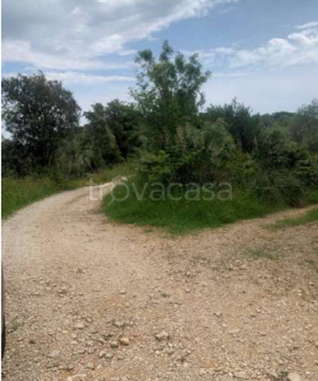 immagine annuncio 2 di 12