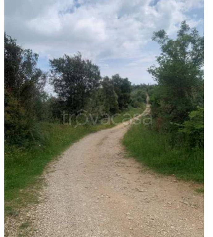 immagine annuncio 3 di 12