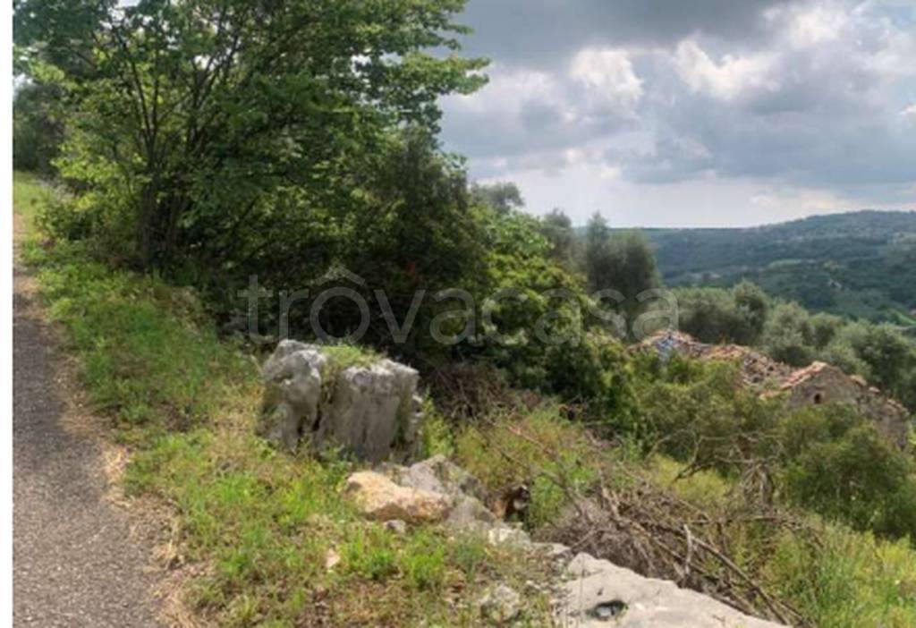 immagine annuncio 6 di 12