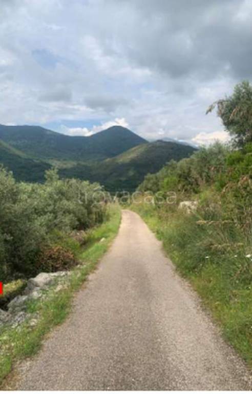 immagine annuncio 7 di 12